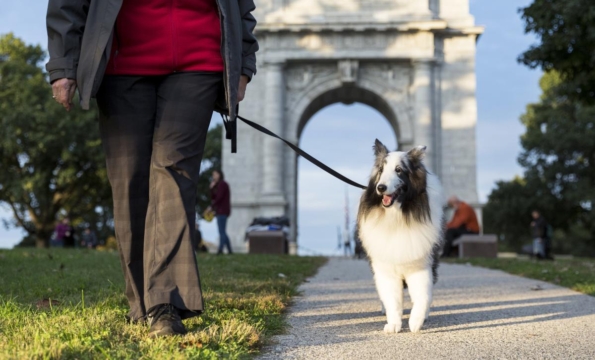 person walking along pathway with dog and large arch in background