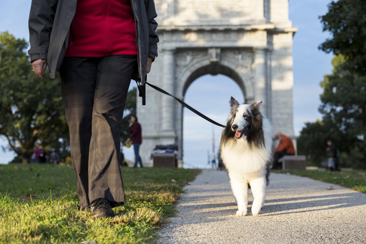 person walking along pathway with dog and large arch in background