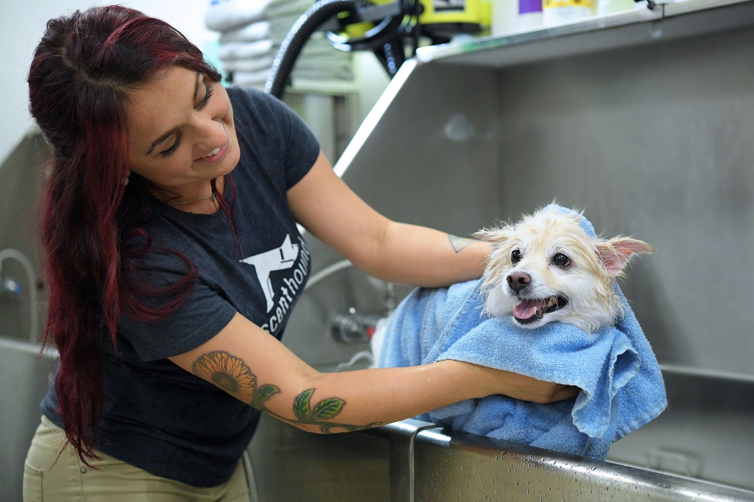 person drying off a small white dog in a dog wash station