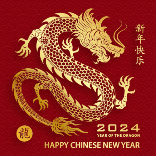 year of the dragon graphic